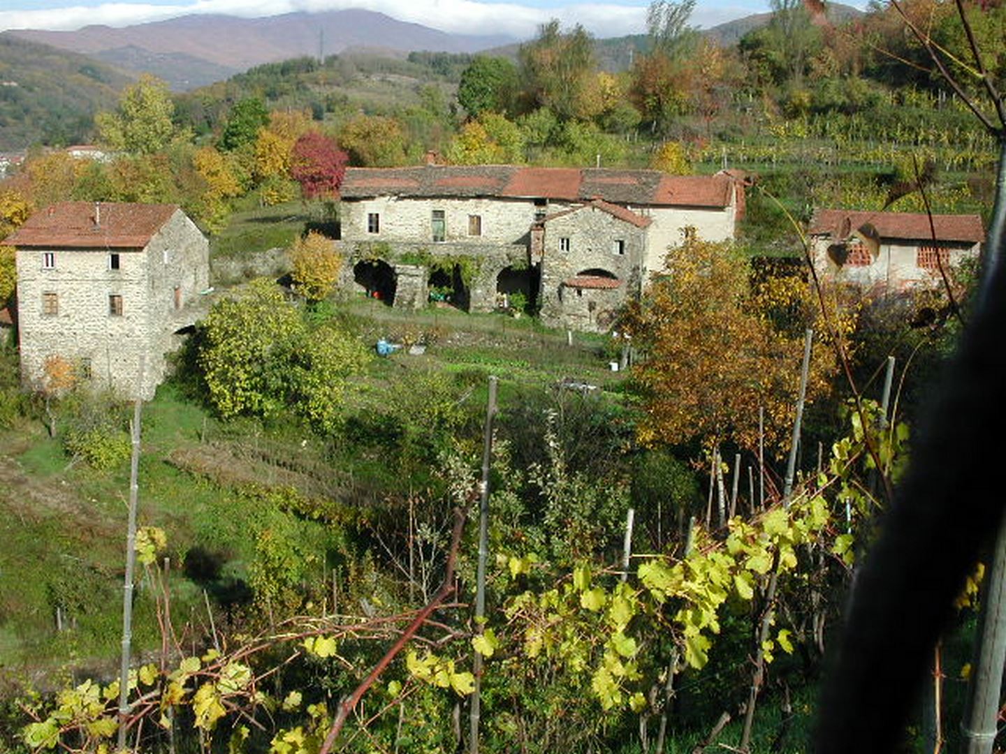 Historic Stone Houses with Vineyard – Pontremoli, Tuscany