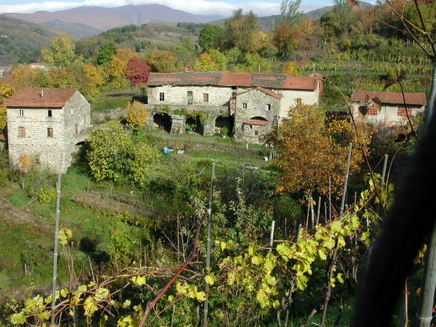 Diversi casali in pietra