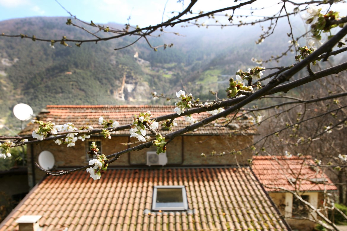 Casa in pietra ristrutturata in bosco sopra Vallecchia di Pietrasanta