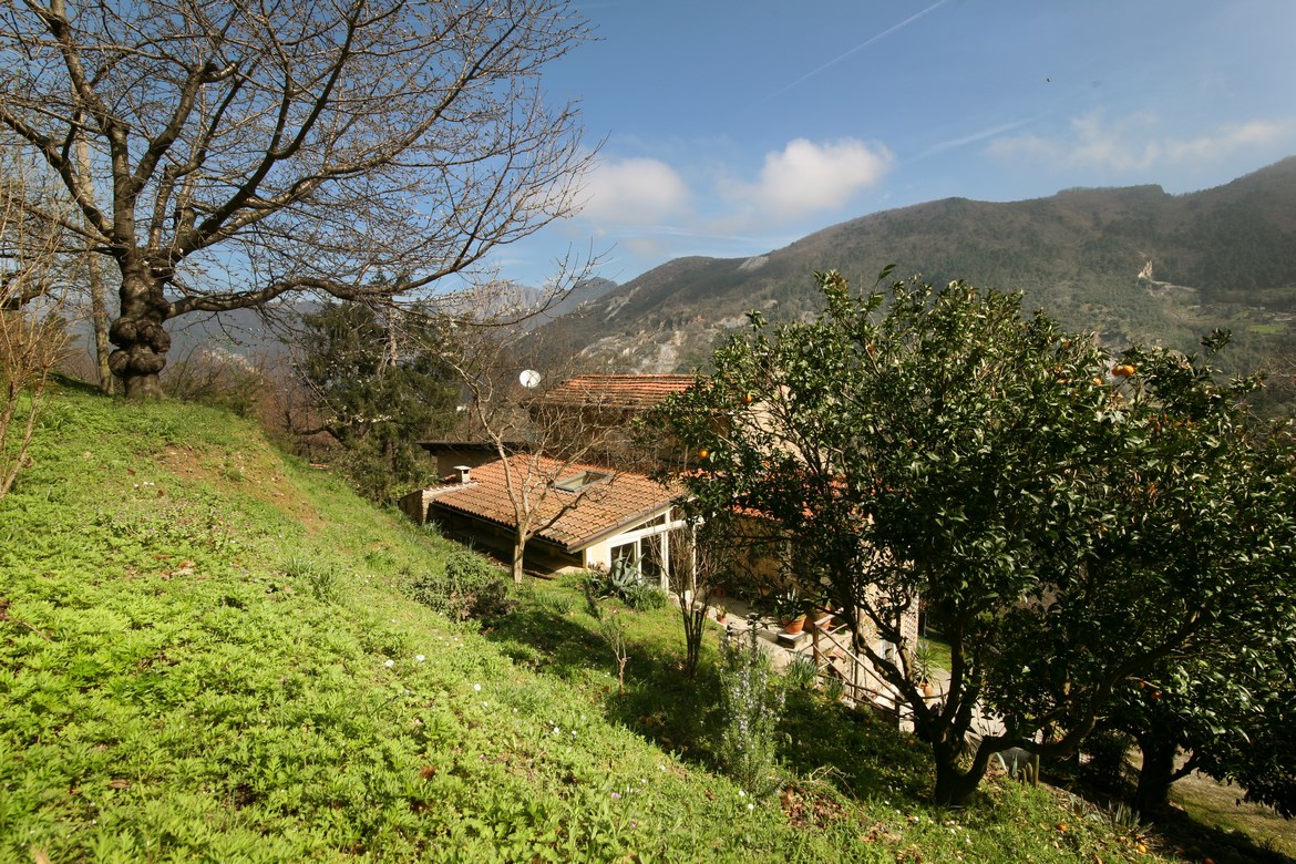 Casa in pietra ristrutturata in bosco sopra Vallecchia di Pietrasanta