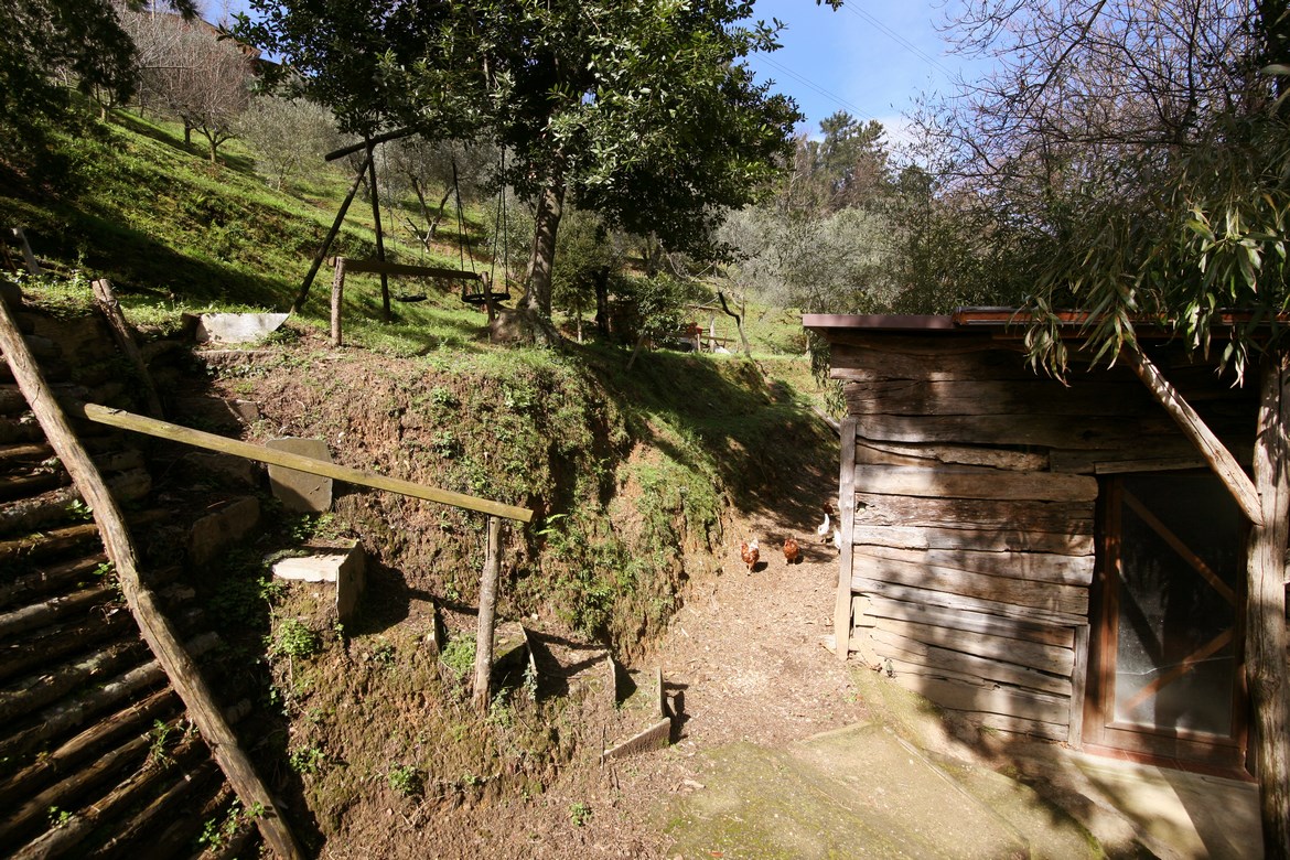 Large rural stone house near Pietrasanta