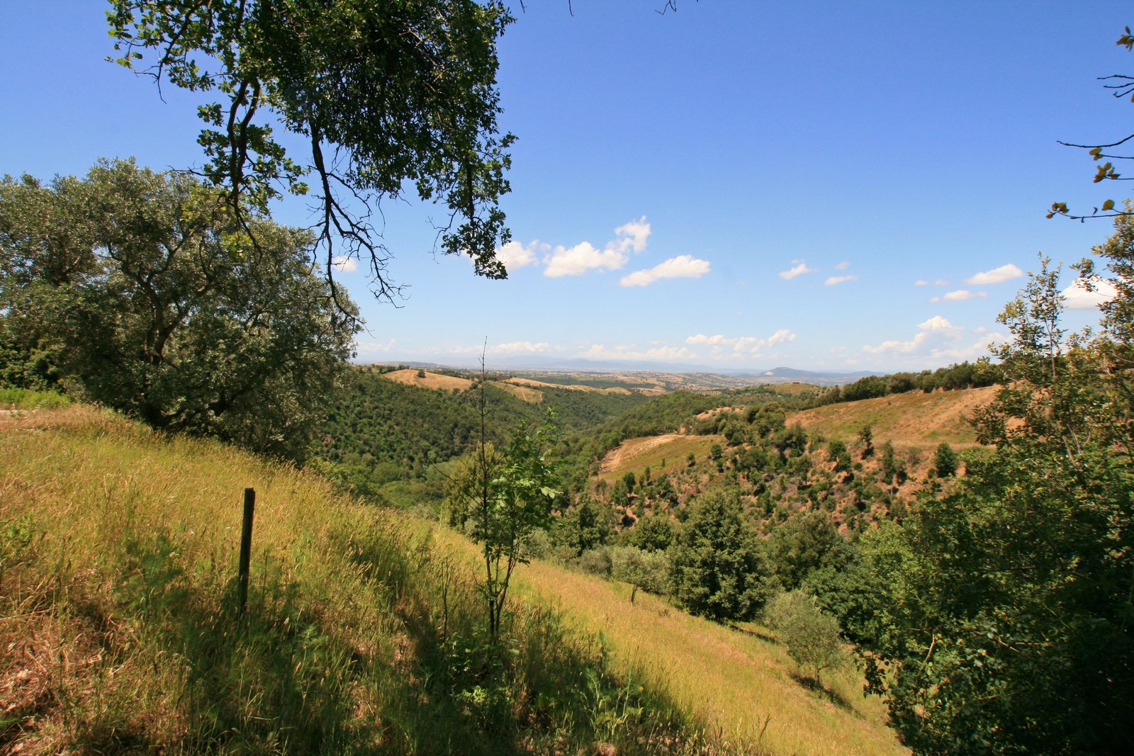 Neues Steinhaus mit Großem Grundstück & Panoramablick – Scansano, Toskana