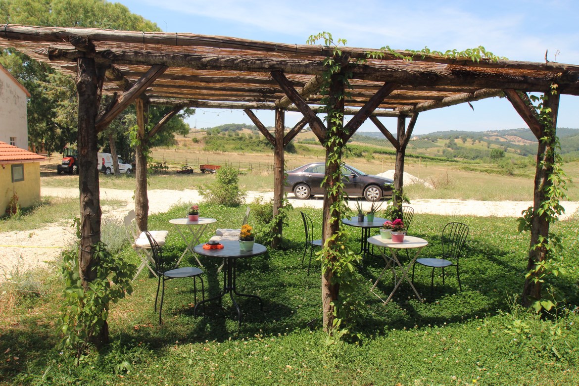 Organic Farm Near Saturnia – Wine, Olive Oil & Honey Production