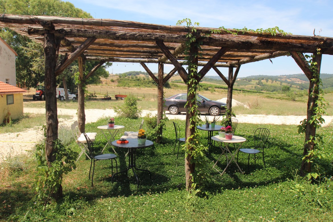 Organic farm in Scansano