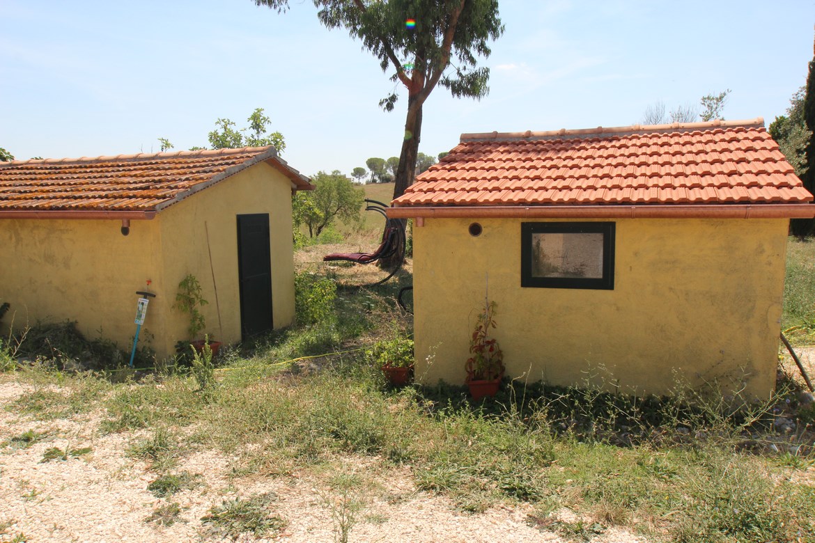 Organic farm in Scansano