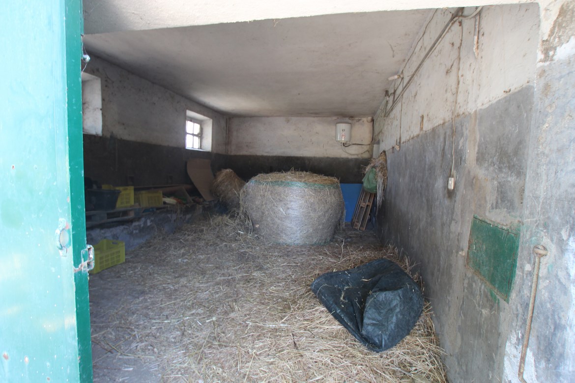 Organic Farm Near Saturnia – Wine, Olive Oil & Honey Production