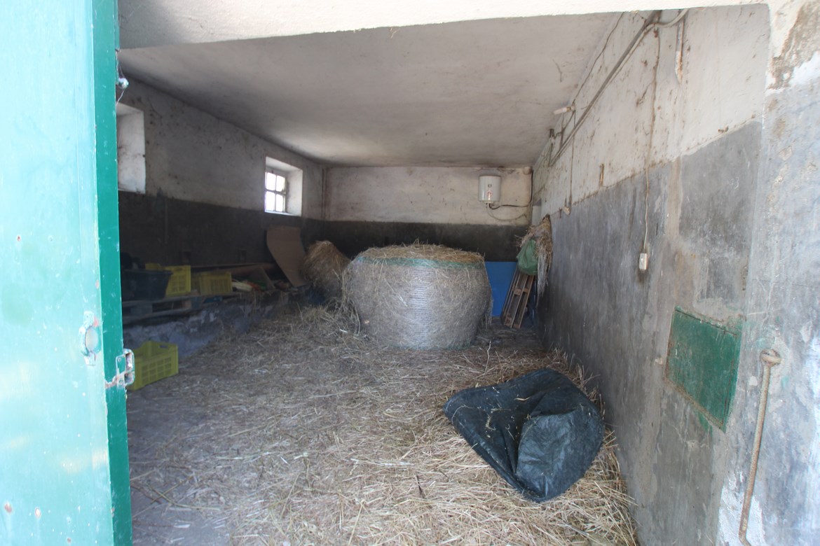 Organic farm in Scansano