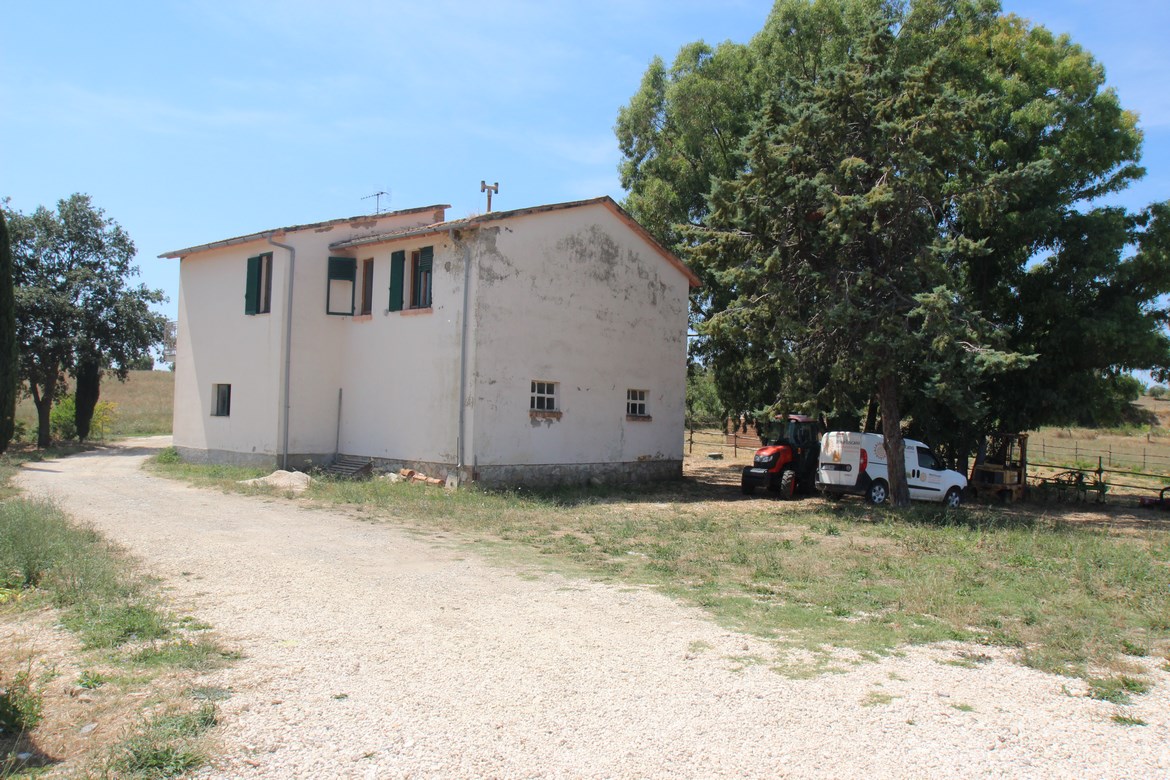 Organic Farm Near Saturnia – Wine, Olive Oil & Honey Production
