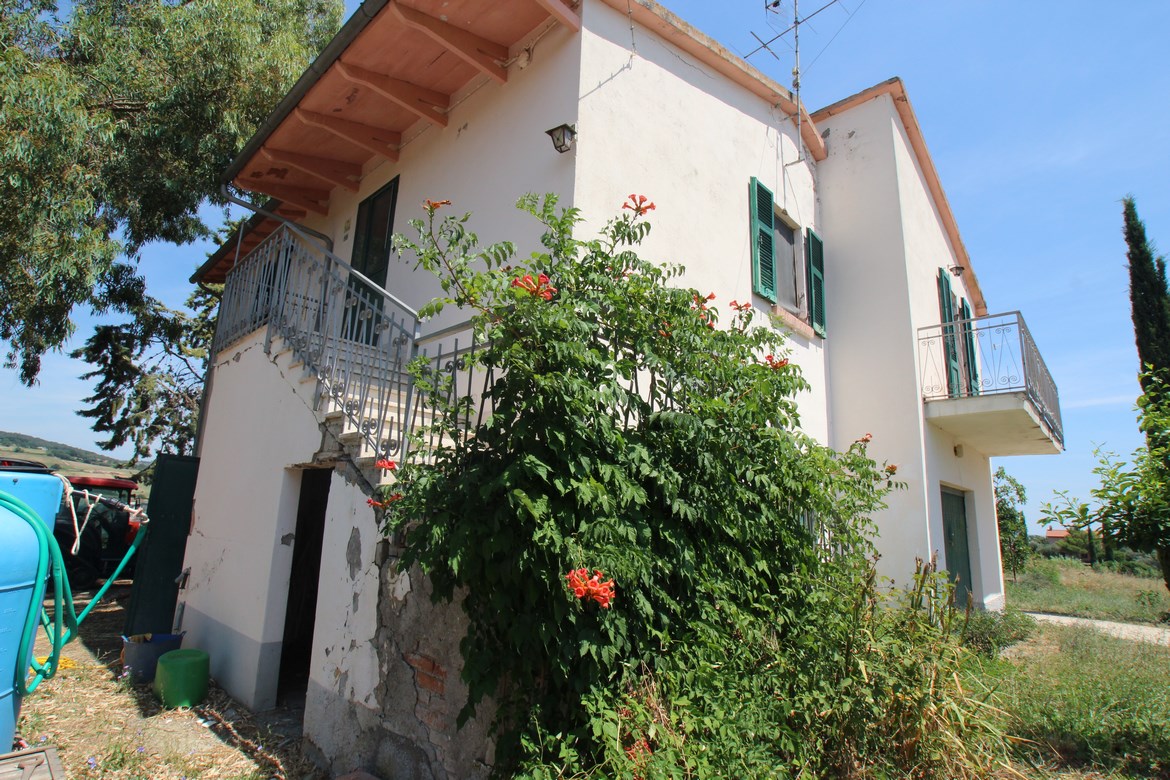 Organic farm in Scansano