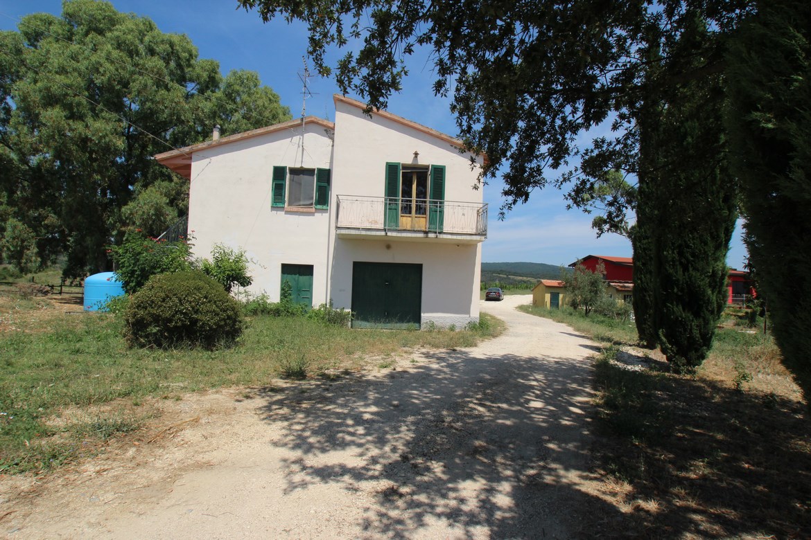 Organic Farm Near Saturnia – Wine, Olive Oil & Honey Production
