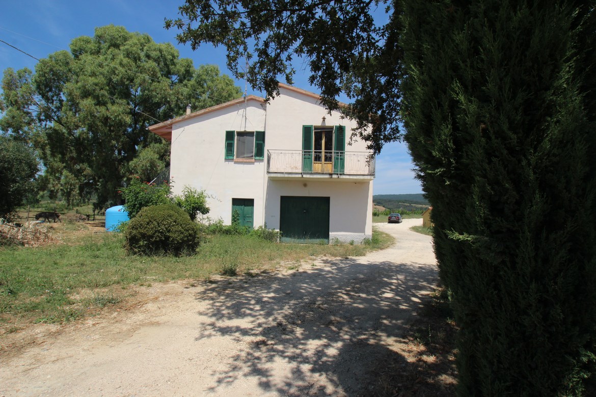 Organic Farm Near Saturnia – Wine, Olive Oil & Honey Production