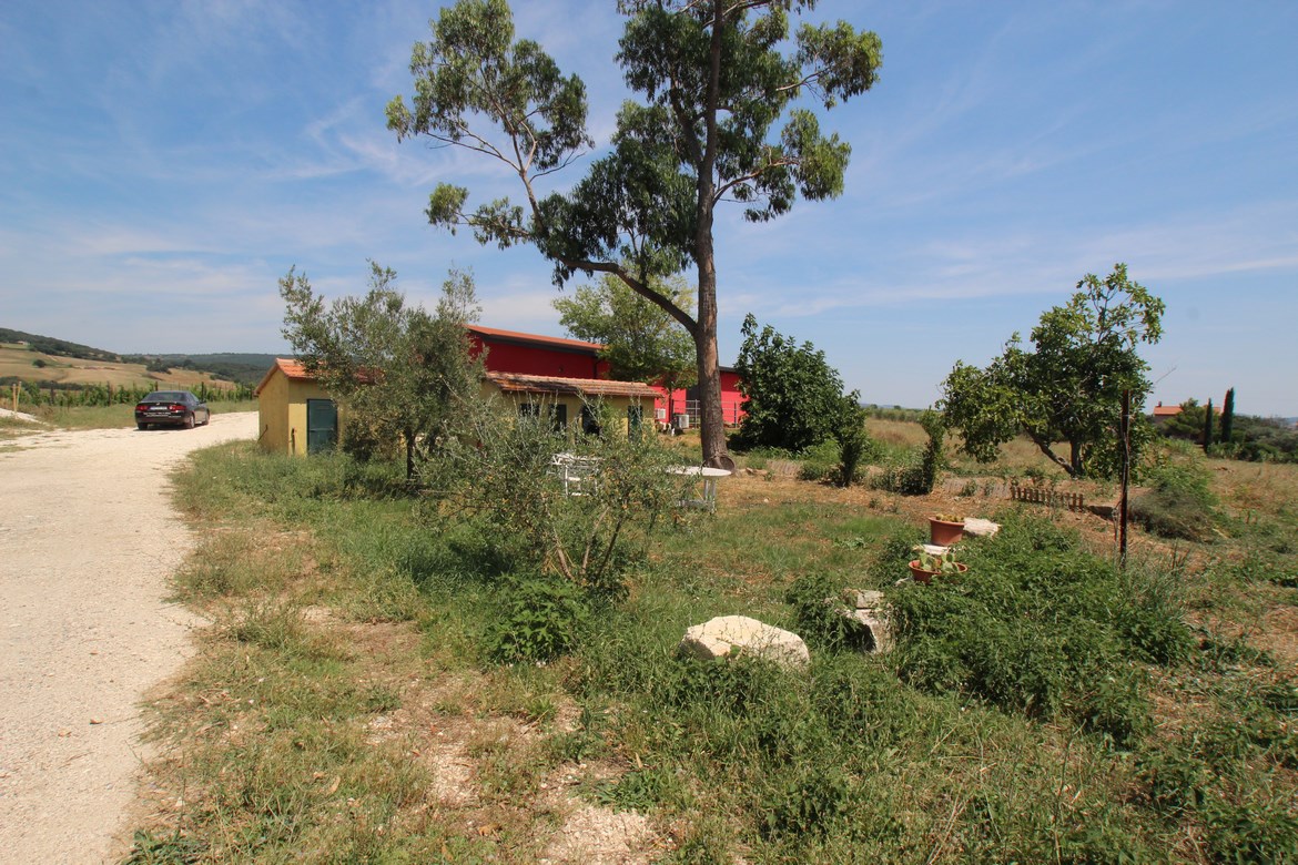 Organic Farm Near Saturnia – Wine, Olive Oil & Honey Production