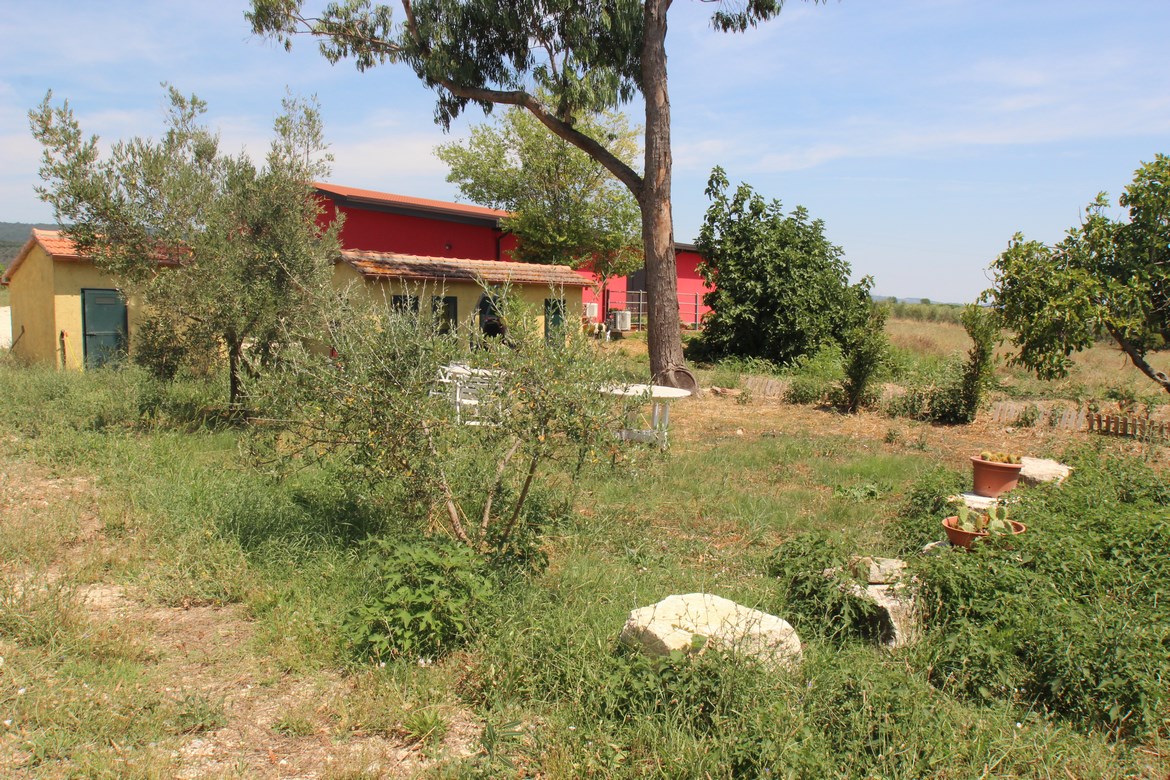 Organická farma u Scansana