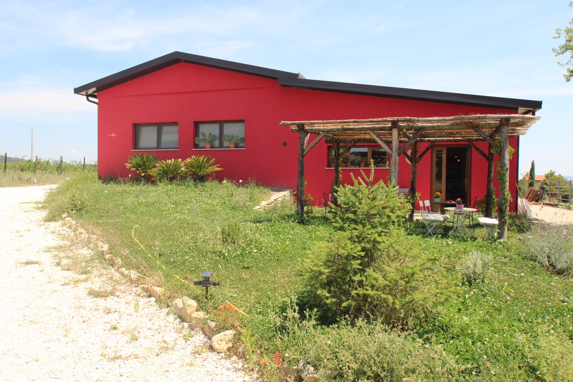 Organic farm in Scansano