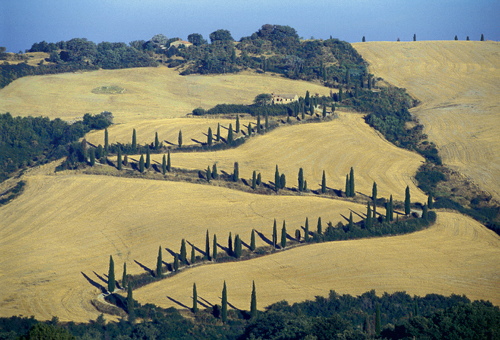 Toscana-Pisa