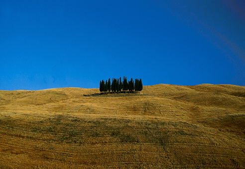 Toscana-Pisa