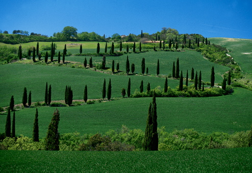 Villa in Tuscany: Inland or Coastal?