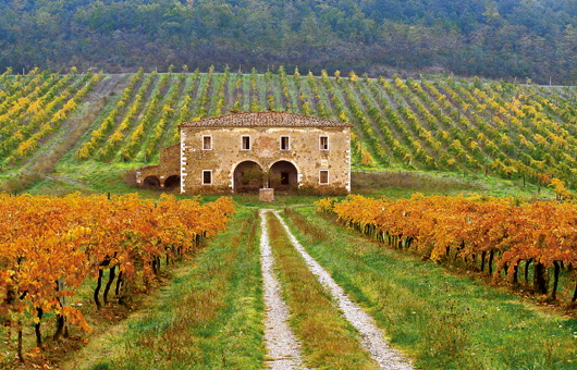 Villa in Tuscany: Inland or Coastal?