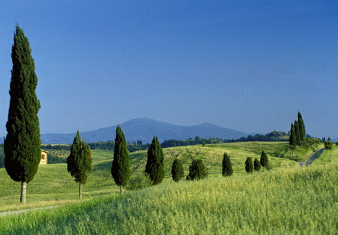 Villa in Tuscany: Inland or Coastal?