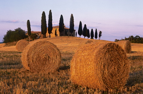 Villa in Tuscany: Inland or Coastal?