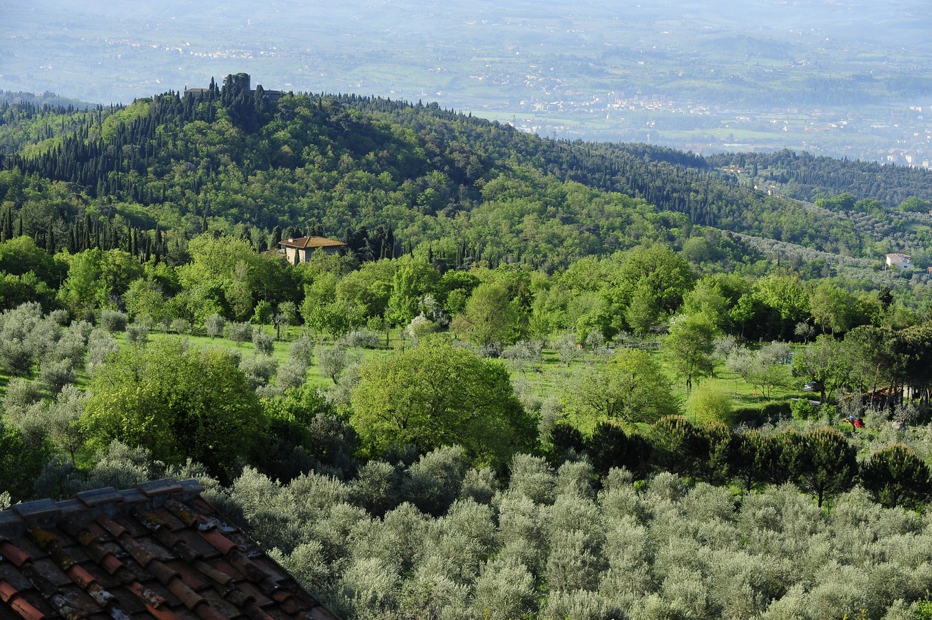 Villa in Tuscany: Inland or Coastal?