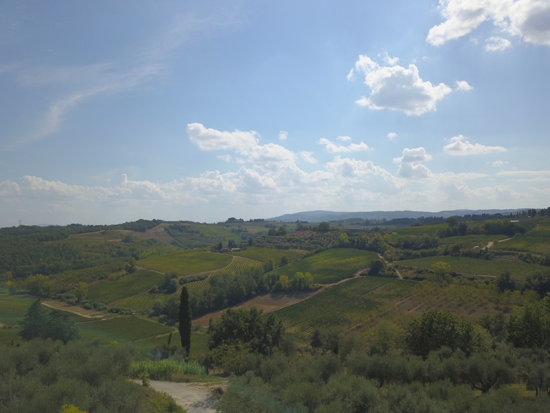 Historic Medieval Tower Near Catignano – Panoramic Tuscan Views