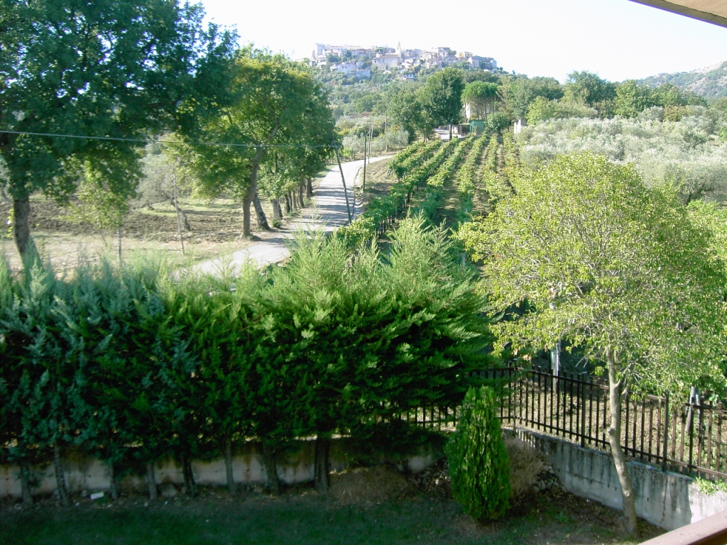 House in Campania