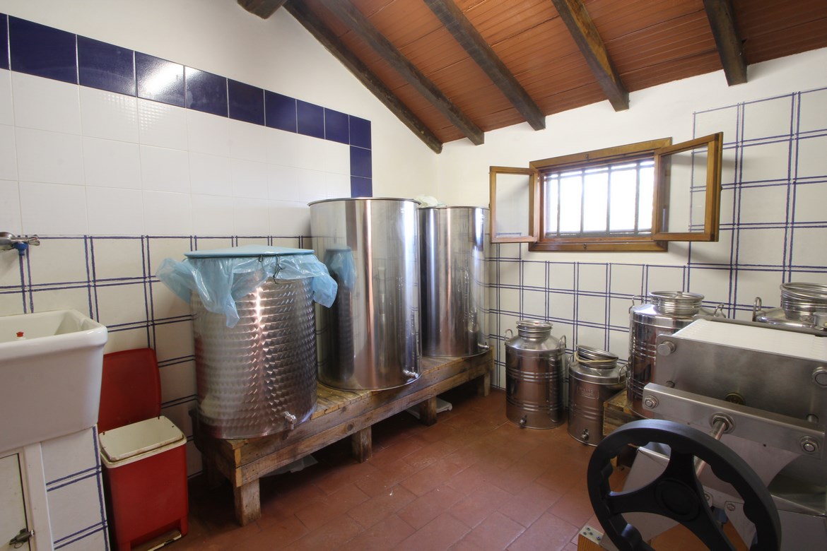 Proprieta da ristrutturare in Versilia