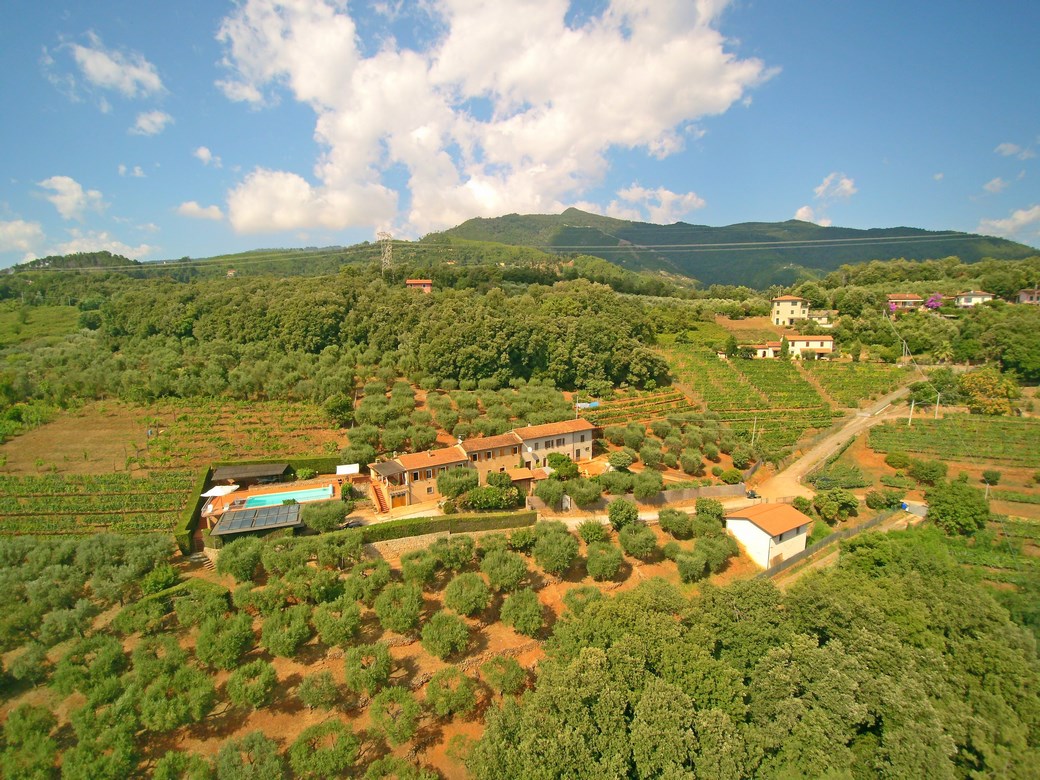 Proprieta da ristrutturare in Versilia