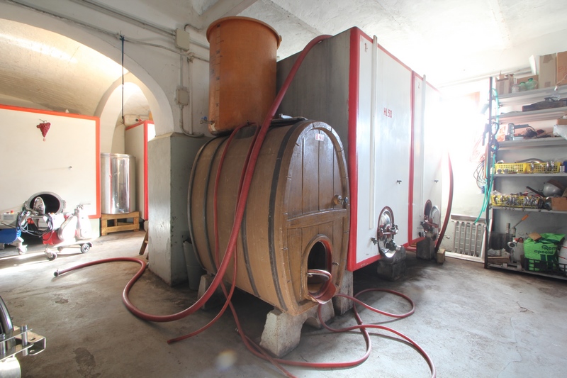 Winery in Montepulciano