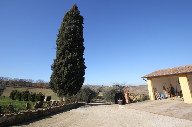 Winery in Montepulciano