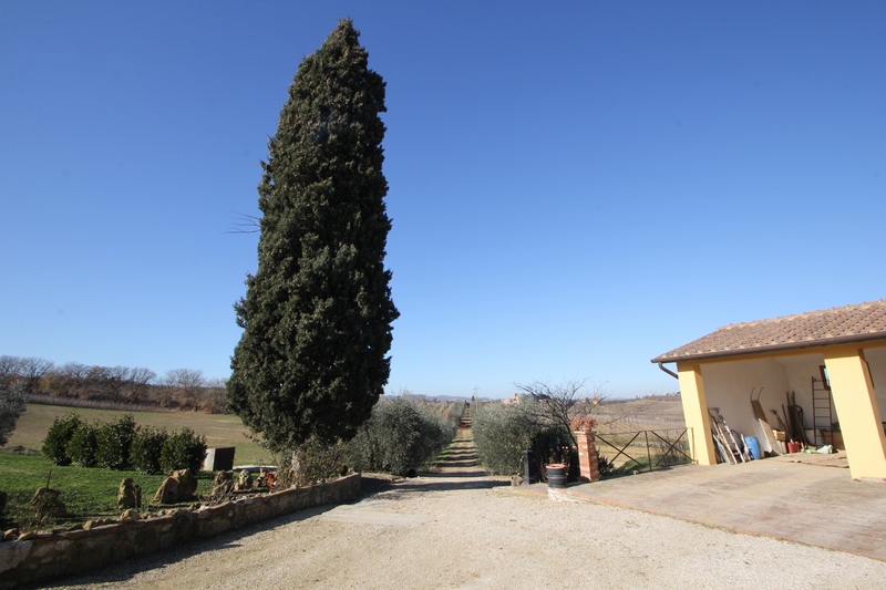 Prestigious Wine Estate with Olive Grove & Agritourism – Tuscany