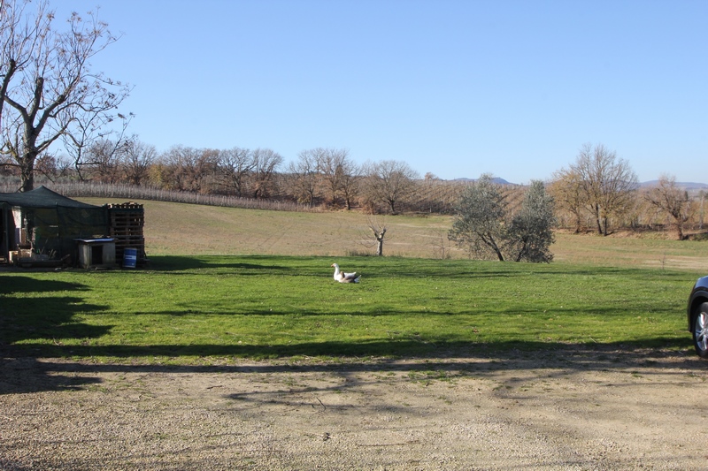 Winery in Montepulciano