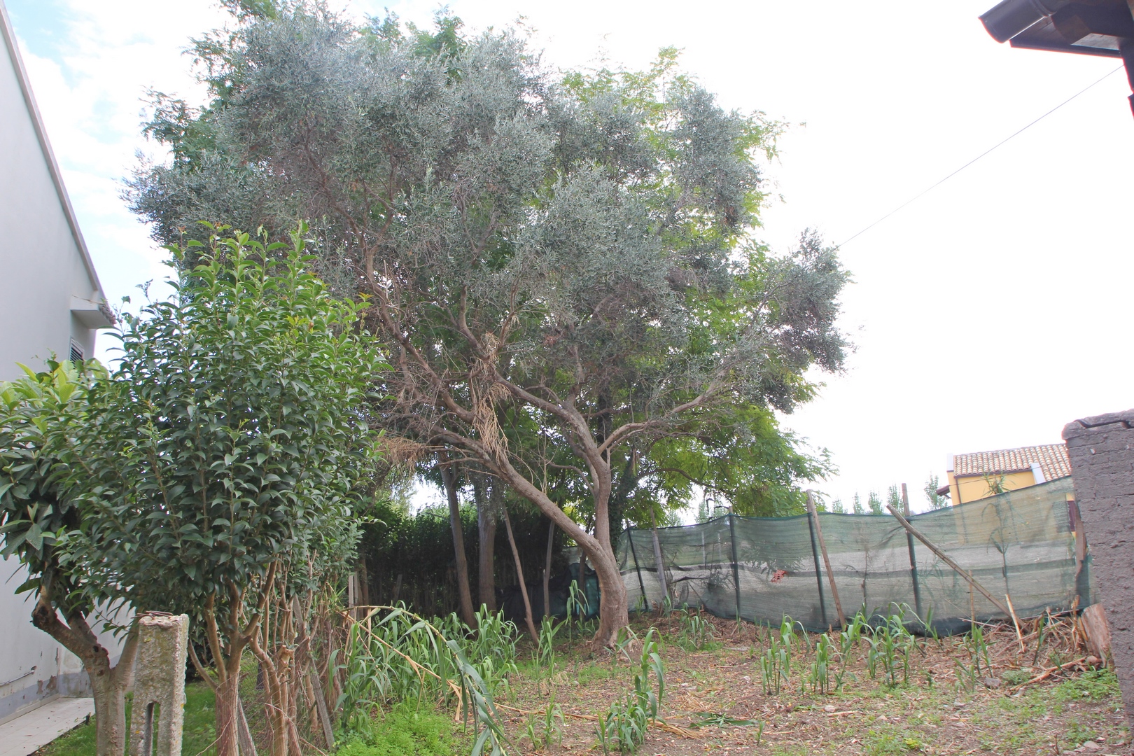 Tenuta sopra il mare