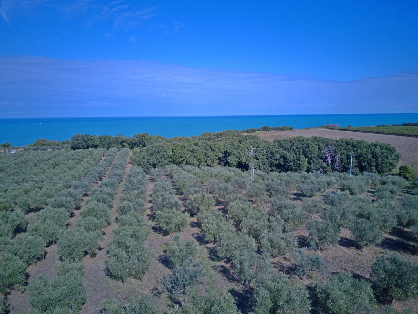 Tenuta sopra il mare