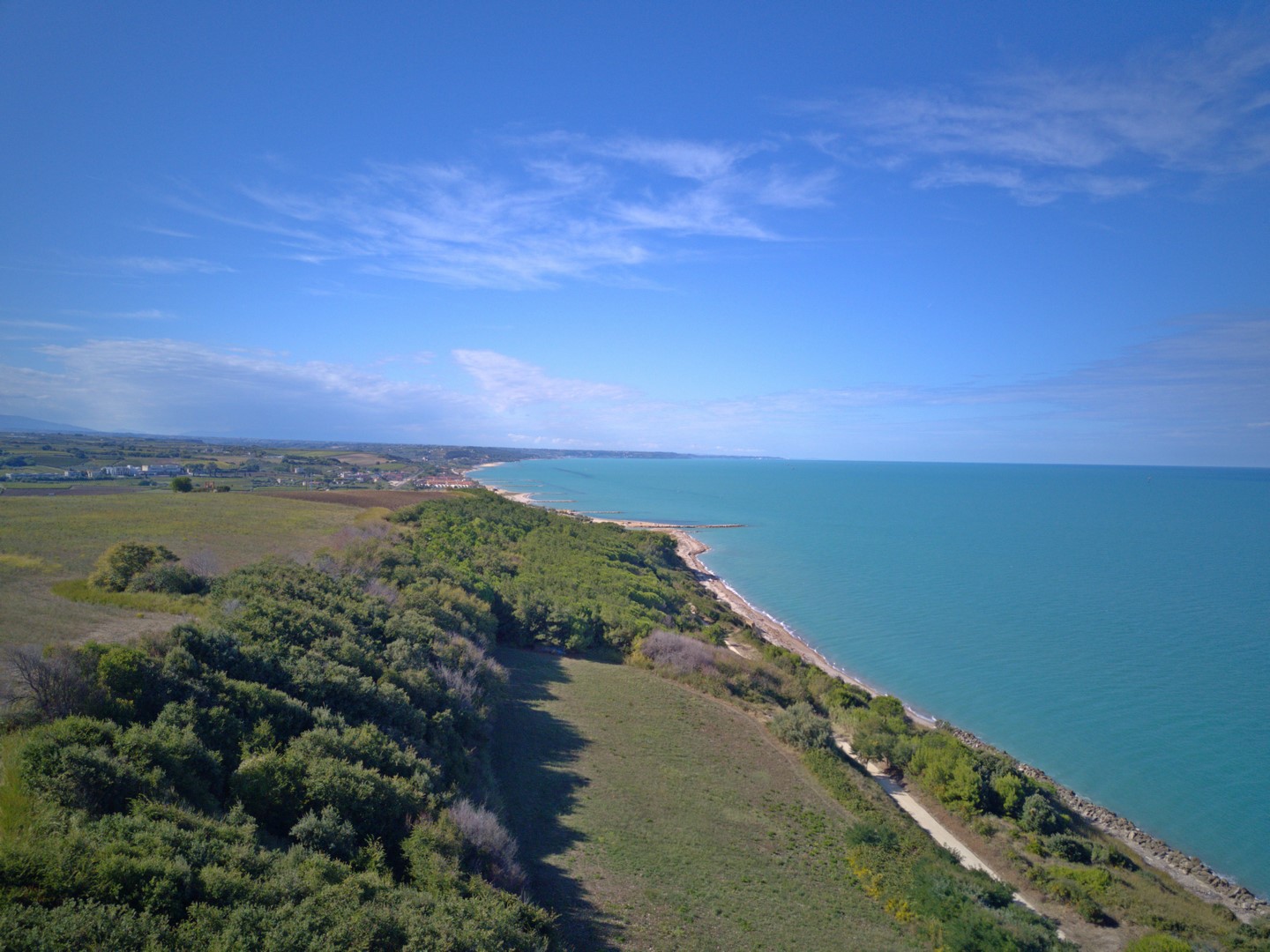 Olivenproduktion am Meer