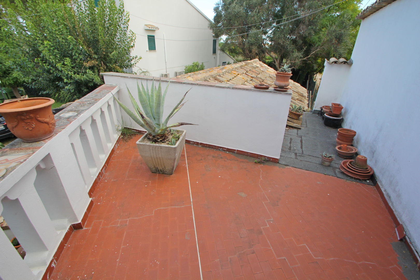 Country House with Olive Grove & Sea Access – Near Vasto, Italy