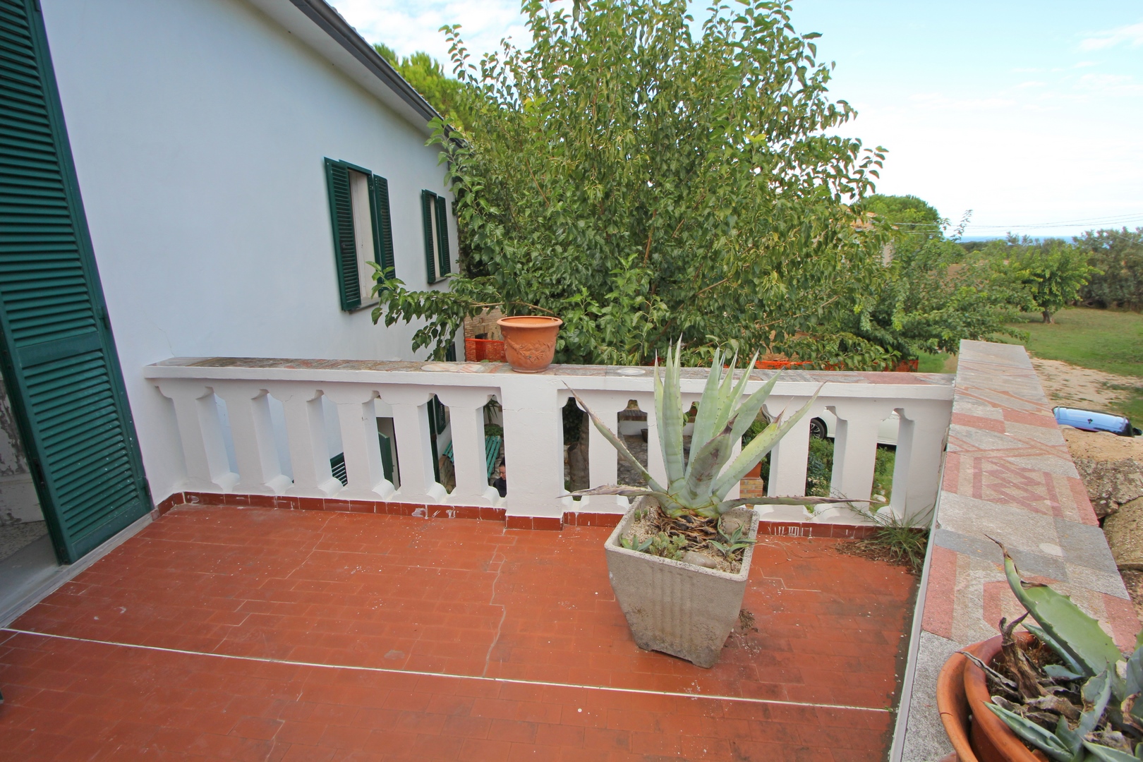 Country House with Olive Grove & Sea Access – Near Vasto, Italy