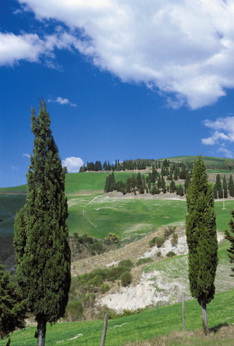 Toscana