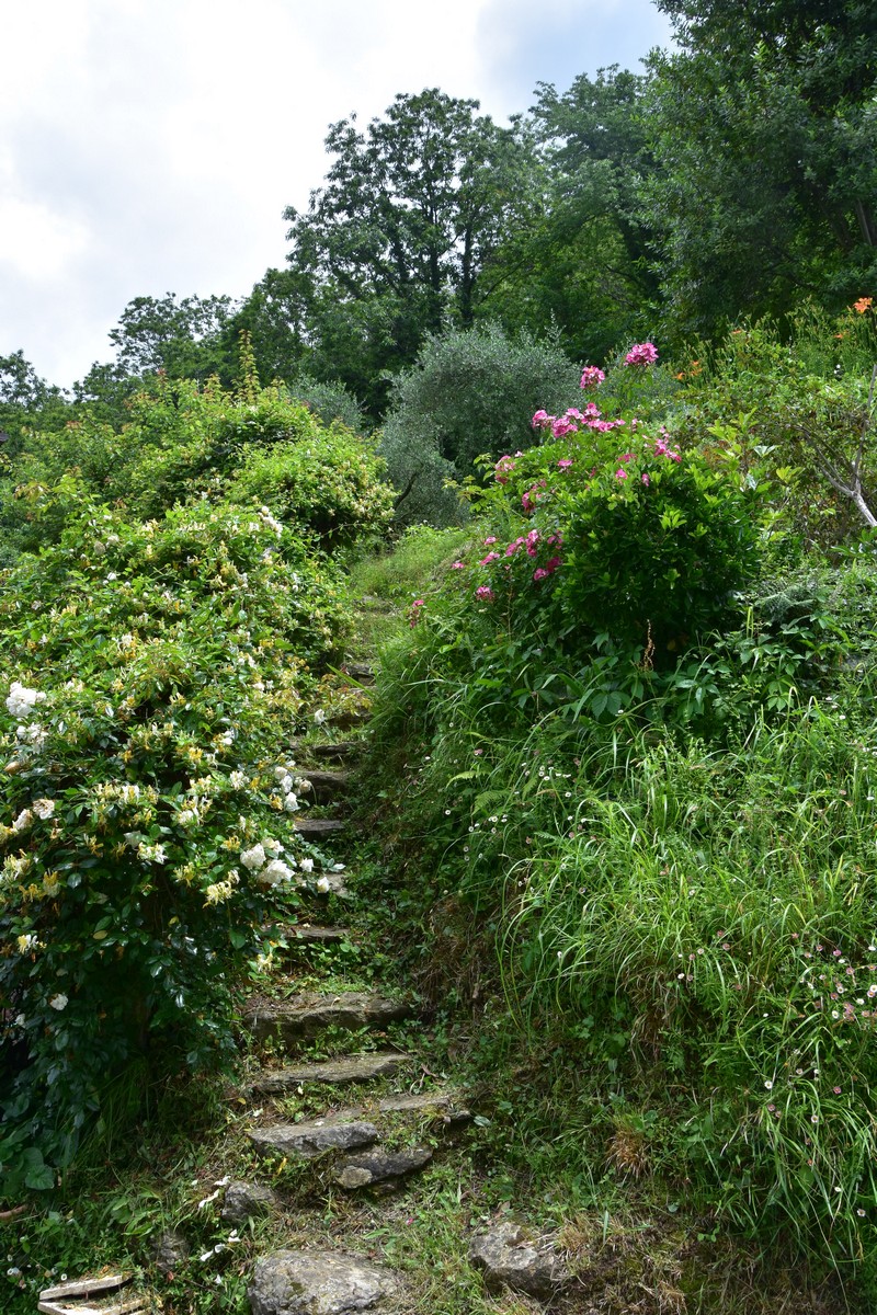 Haus im Wald von Seravezza