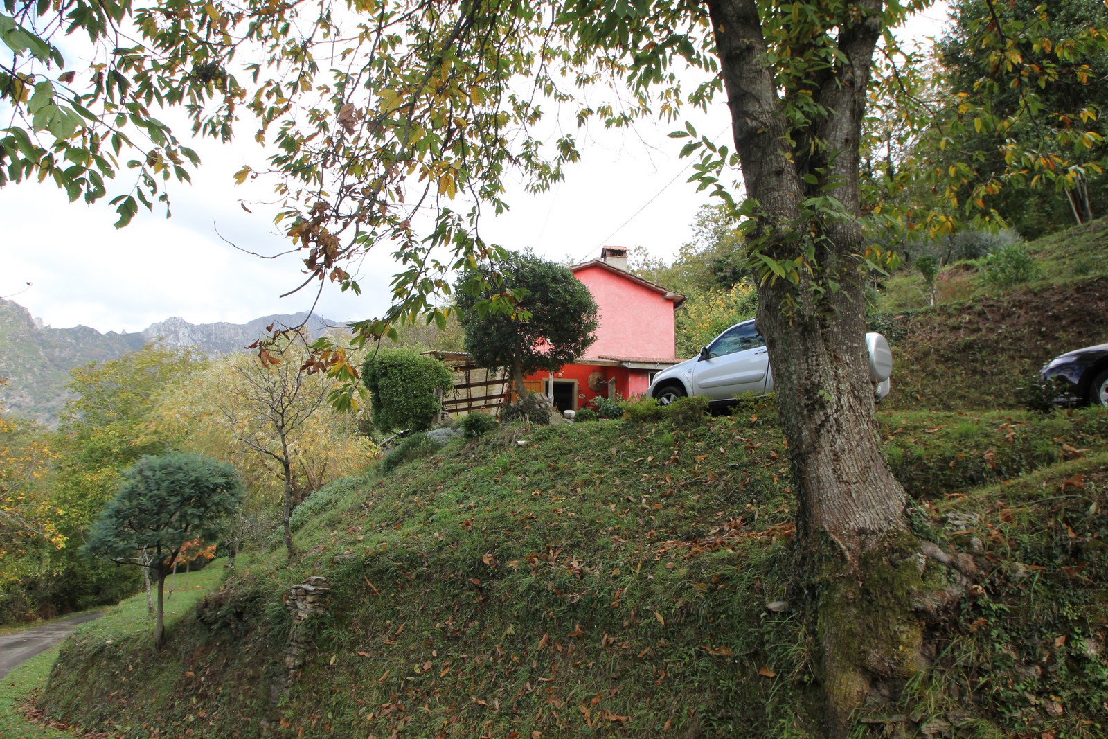 Haus im Wald von Seravezza