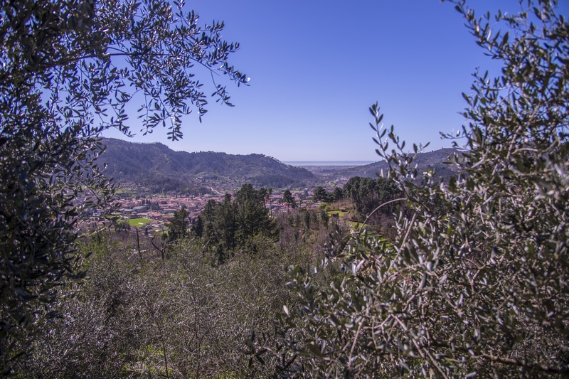 Casale di Lusso in Toscana – Vista Mare, Piscina & Design Artistico Vicino a Camaiore