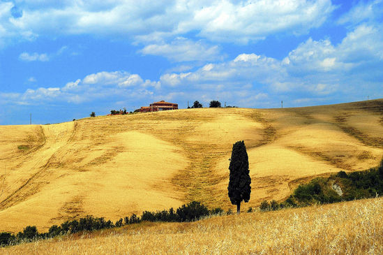 Why Live in Tuscany?