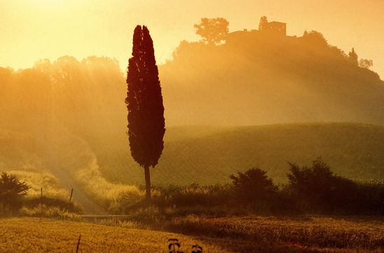 Why Live in Tuscany?