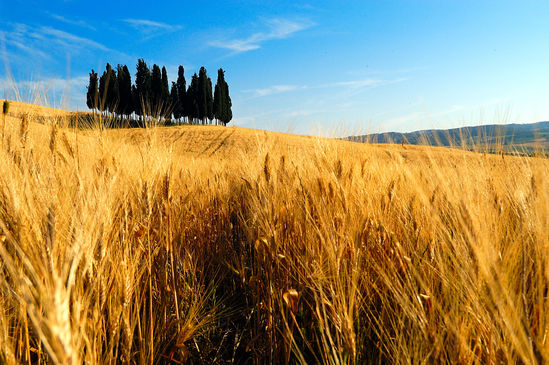 Why Live in Tuscany?