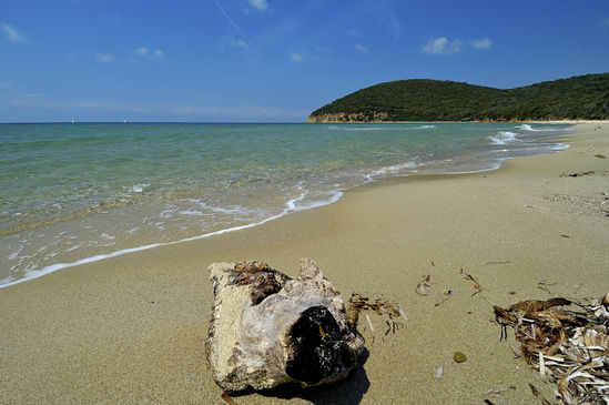 Perche scegliere la Toscana?