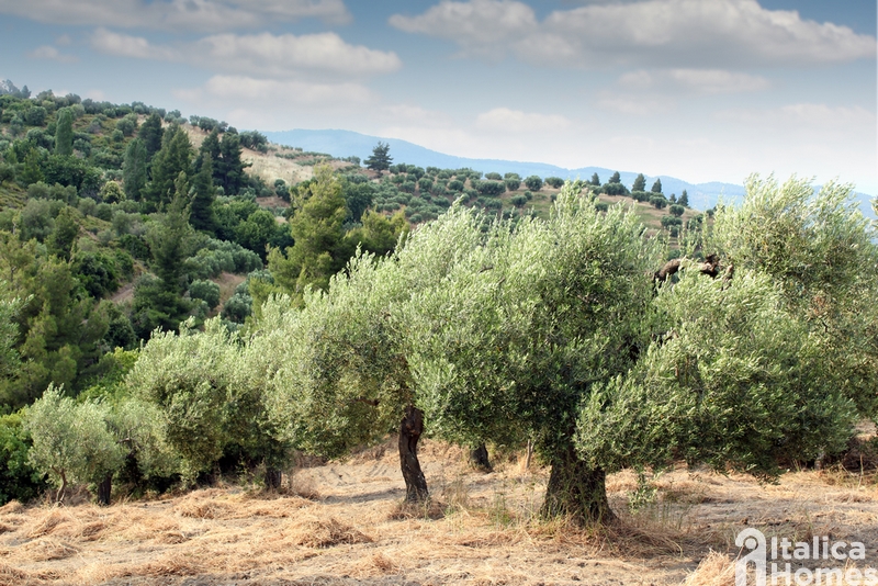 Hamlets in Tuscany