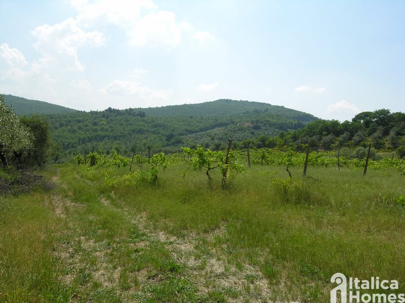 Toscana senza turisti