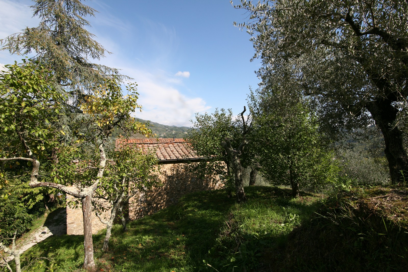 Large restored stone house near to Camaiore