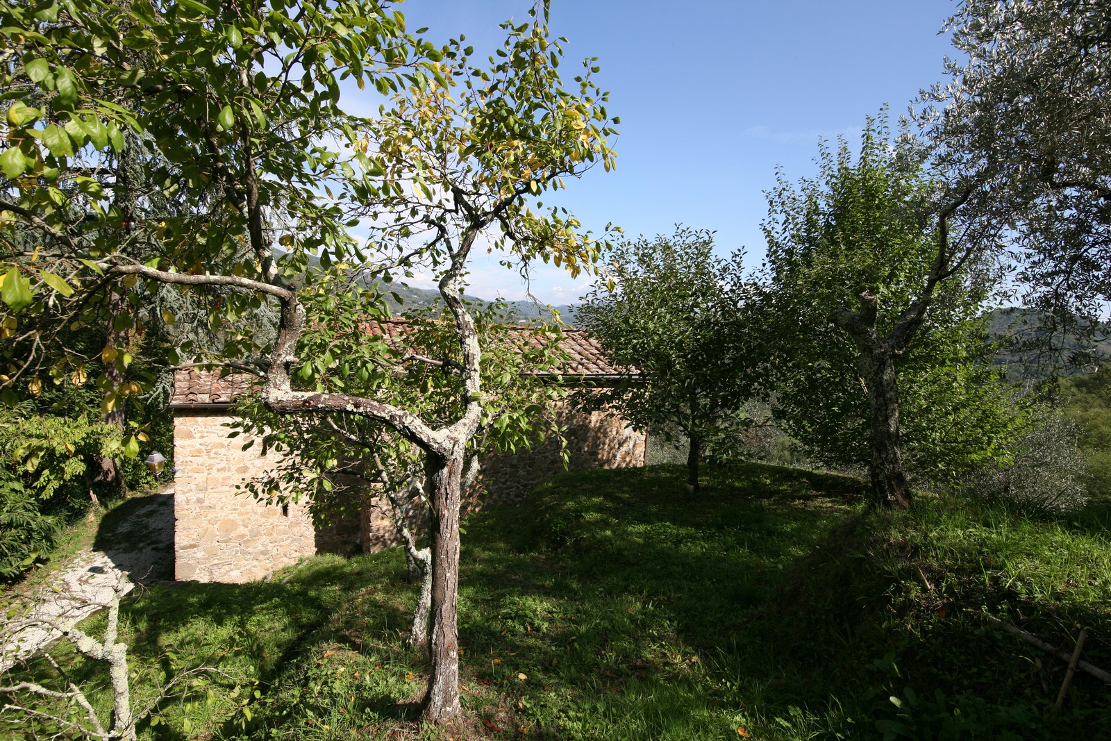 Large restored stone house near to Camaiore